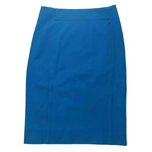 Diane Von Furstenberg Blue Pencil Skirt